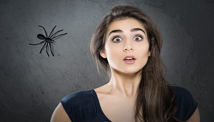 Fear Templates and Phobias