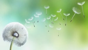 Hypnotherapist Easter Compton