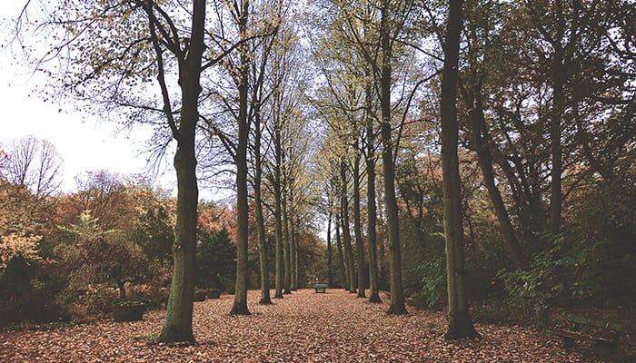 Frenchey Hypnotherapist discusses Clinical Hypnotherapy in Frenchey & beyond