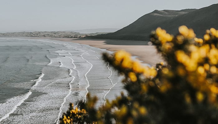 Hypnotherapist Lawrence Hill